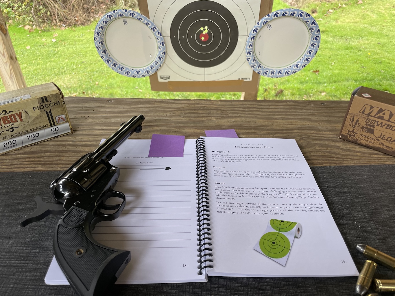 Practical Practice with the Taurus Deputy